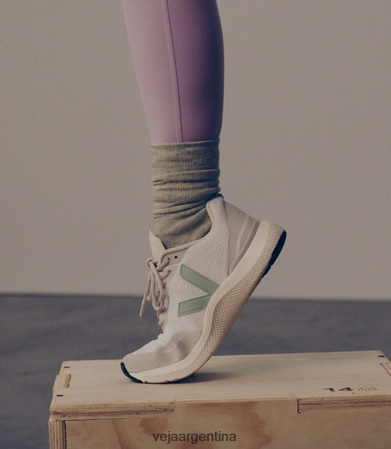 matcha de cáscara de huevo impala Veja NT64JJ284 mujer zapatos